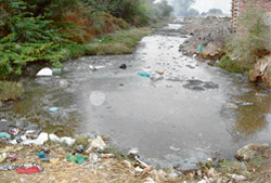 The foul-smelling Manas Drain brings misery to residents of Kaithal town