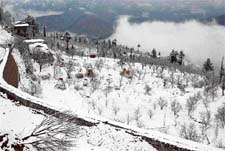 Kufri wears a white mantle after the seasons first snowfall on Monday.