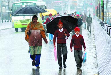 Temperature nosedived as light showers lashed the city on Tuesday.