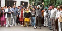 Doctors and supporting staff at civil hospital hold a protest against assault on an employee in Ludhiana on Tuesday.