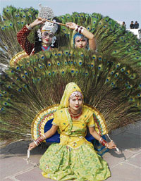 An artiste from Agra performs mayur nritya at the crafts mela at Brahm Sarovar in Kurukshetra on Wednesday. 