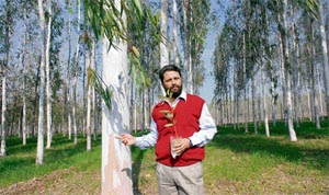 Ranjit Raina, a progressive farmer, shows saplings of eucalyptus trees in Salimpur village.