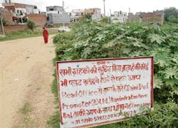 Warning signals: A board warns buyers about illegal colonisers.