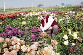 Aloke Dutt on his flower farm in Madhuban in Karnal district
