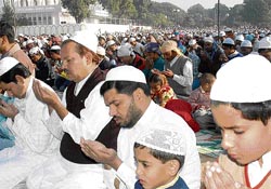 Devotees offer prayers on the occasion of Id-ul-Zuha at Jama Masjid, Sector 20, Chandigarh, on Friday.