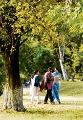 Students take a stroll on the Jammu University campus on a sunny Wednesday.