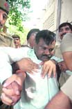 MP Babubhai Katara: Kabootarbaaz