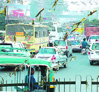 A swarm of vehicles near the BSF Chowk.