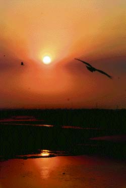 Sun sets on 2007 as it is reflected in the waters of the River Tawi in Jammu on Monday. 