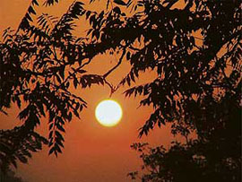The sun rises in the New Year at Bilaspur. 