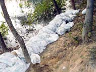 Sand bags used by the Guru Gobind Singh Super Themal Plant authorities to plug breach in a dyke of the plant at Ropar on Tuesday.