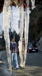 Icicles hang from a rock on the outskirts of Shimla on Friday. The region is in the grip of a severe cold wave these days.