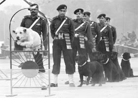 A dog show in progress during the Army exhibition in Ambala