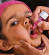 A child being administered polio drops in Mohali on Sunday.