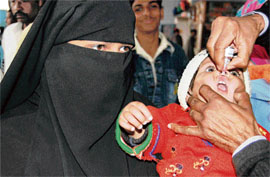 A Muslim woman looks on as her baby is being administered polio drops in Sonepat on Sunday.