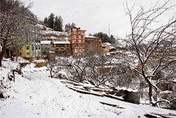 A view of fresh snow near Narkanda in Shimla district on Tuesday evening