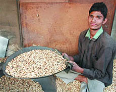 Satish Kumar