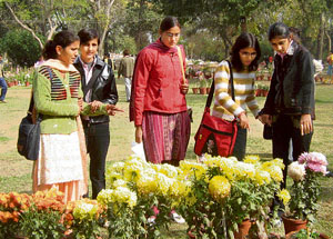 Visitors appreciate entries at a chrysanthemum show organised on the Haryana Agricultural University campus in Hisar on Thursday.