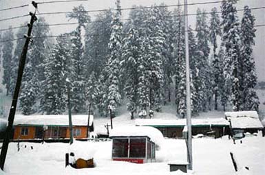 This is Gulmarg in Srinagar wearing a white mantle after heavy snowfall.
