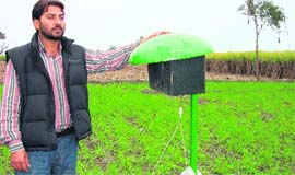 Varinder Singh with a music box put up in a field at Fatehpur