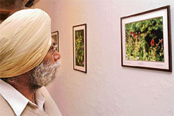 A visitor takes a look at pictures displayed in a photo exhibition at Government Museum and Art Gallery in Sector 10, Chandigarh