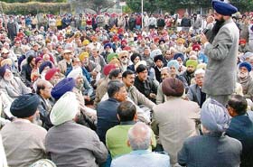 Sharanjit Singh Dillon, MP, addresses pensioners at Punjab Agricultural University in Ludhiana on Monday.