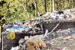 HEAPS OF MEDICAL WASTE: Medical waste dumped outside the zonal hospital, Dharamsala.