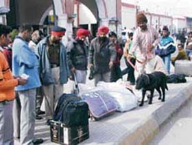 Sniffer dogs check luggage after a bomb threat was reported at Ludhiana railway station on Tuesday.