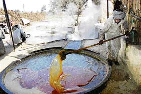 A worker prepares gur in Ismaila village in Rohtak district on Sunday. 