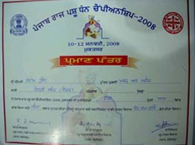 Original certificates duly signed by the authorities at the Punjab State Livestock Championship held at Muktsar recently. The certificate on the left does not have the bearers name while the one on the right bears a fictitious name.