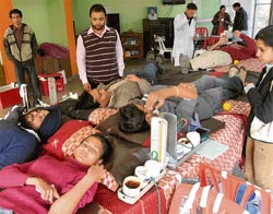 Students donate blood during a camp organised by PUSU and AIHSA at Panjab University on Monday.