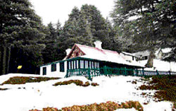 It"s just white: Forest rest house at Kalatop