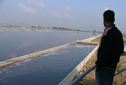 The treated water at Bhattian Bet Sewerage Treatment Plant that has shown presence of heavy metals in its first samples