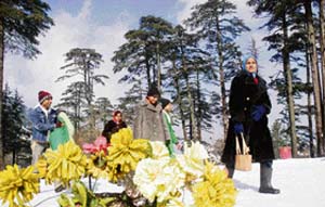 People are dressed in woollens at the Patnitop hill resort in Jammu. Tourists have flocked to Patnitop after heavy snowfall in the area. 