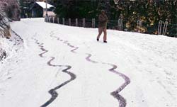 A road went all white after fresh snow in Shimla on Saturday evening