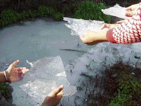 Water froze in a pond in Fatehgarh Churian in Amritsar district on Sunday. 