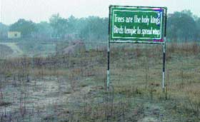A view of the bird sanctuary at Sofi Pind, near Jalandhar. 