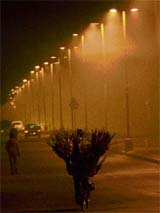 MIST-IC NIGHT: Chandigarh remained wrapped in fog on Monday night