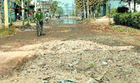 The absence of proper sewerage has turned the roads in the Focal Point Extension area in Jalandhar into a slush.