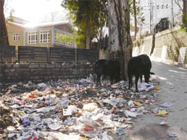 Garbage lies rotting outside the Circuit House, Kullu, as the municipal council does not remove it for days together. This type of shoddy working will do no good to Chief Minister Prem Kumar Dhumal's resolve to make Kullu a world tourist destination.