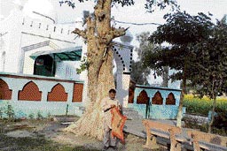 Faith was sustained by devotees from all religions. The shrine of Baba Lahori Shah and its Muslim caretaker