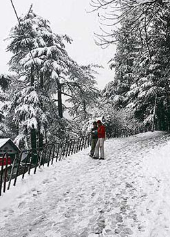 A walk back home after a heavy snowfall on Sunday hit bus services in Shimla.