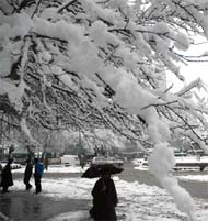 A Kashmiri Muslim walks through snow which fell for the fourth consecutive day in Srinagar on Wednesday.