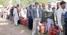 A long queue outside an LPG agency in Hisar. Such scenes have become an everyday affair throughout the state. 