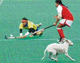 A dog runs on the turf during the Delhi-Mumbai match at the 55th Rakshak Senior Womens National Hockey Championship in Jalandhar on Thursday. 