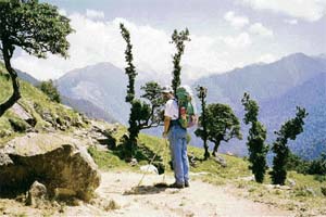 Opt for durable and sturdy trekking gear