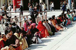 Visitors decide to bask in the sun at the Sector 17 plaza in Chandigarh on Tuesday.