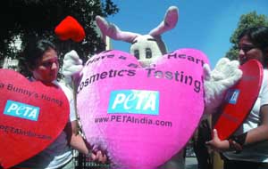PETA activists protest against killing of rabbits, rats and guinea pigs in front of Health Minister's office in the Capital on Wednesday. 