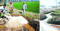 Untreated effluent discharged by factories. (R) The toxic waste enters the Sutlej at multiple points