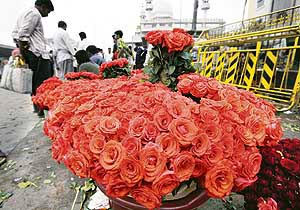 Flower vendors wait with baskets of roses for customers at a busy city road on the eve of Valentine's Day in Bangalore on Wednesday.